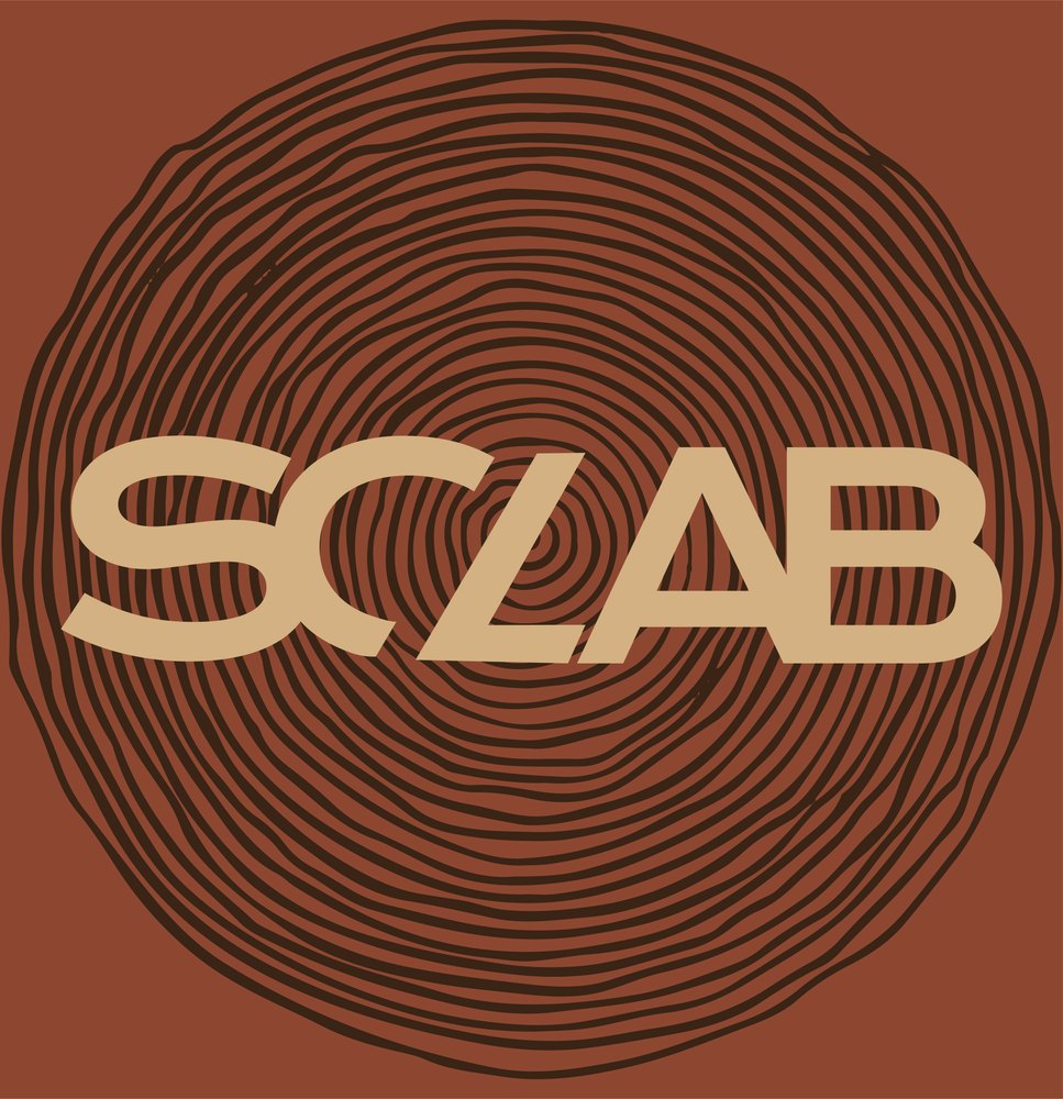 SC LAB — anel de madeira